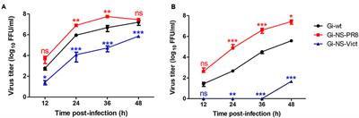 NS Segment of a 1918 Influenza A Virus-Descendent Enhances Replication of H1N1pdm09 and Virus-Induced Cellular Immune Response in Mammalian and Avian Systems